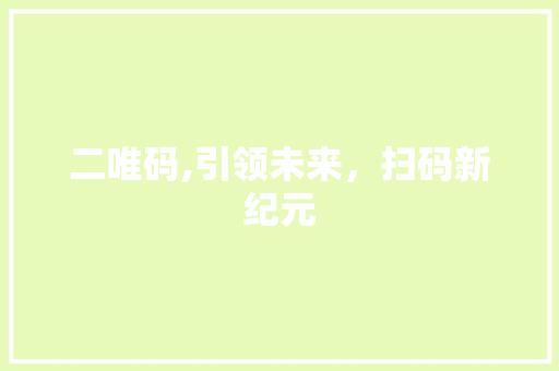 二唯码,引领未来，扫码新纪元