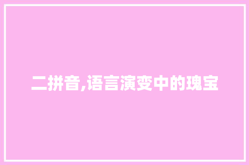 二拼音,语言演变中的瑰宝