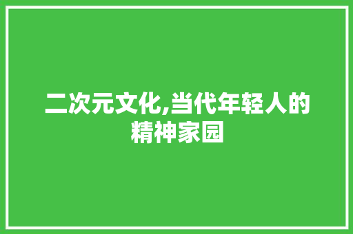 二次元文化,当代年轻人的精神家园
