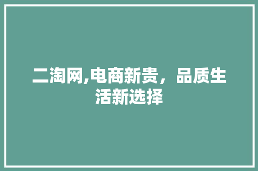 二淘网,电商新贵，品质生活新选择