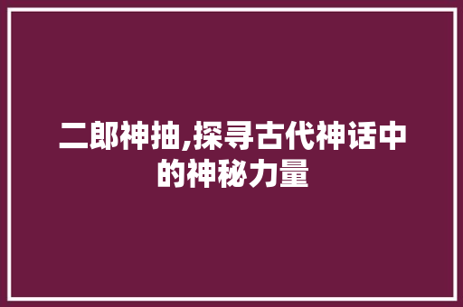 二郎神抽,探寻古代神话中的神秘力量