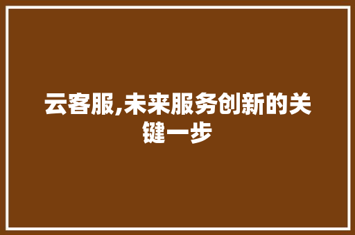 云客服,未来服务创新的关键一步