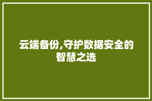 云端备份,守护数据安全的智慧之选