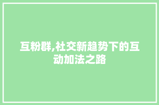 互粉群,社交新趋势下的互动加法之路