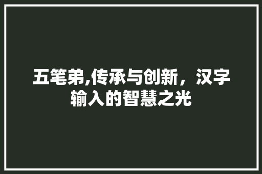 五笔弟,传承与创新，汉字输入的智慧之光