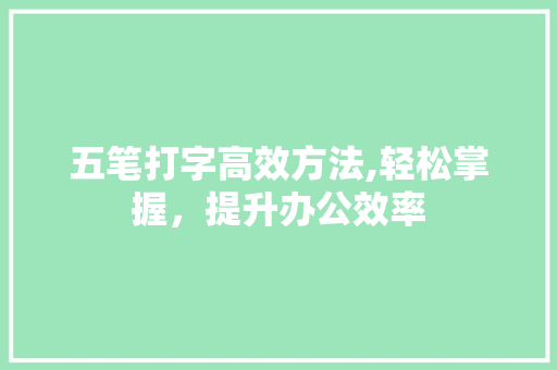 五笔打字高效方法,轻松掌握，提升办公效率