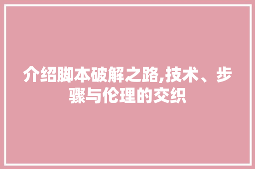 介绍脚本破解之路,技术、步骤与伦理的交织