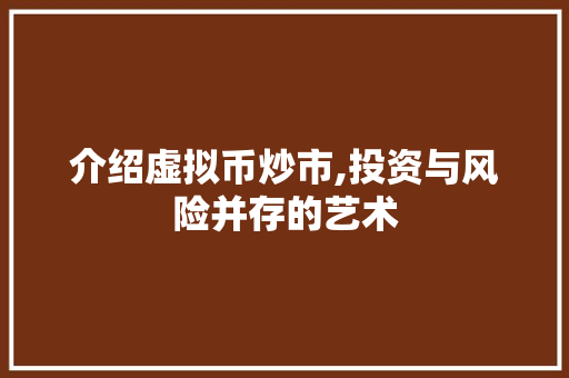 介绍虚拟币炒市,投资与风险并存的艺术