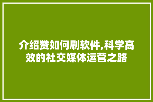 介绍赞如何刷软件,科学高效的社交媒体运营之路