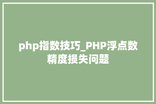 php指数技巧_PHP浮点数精度损失问题