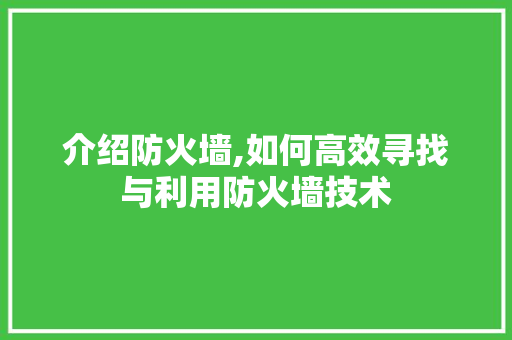 介绍防火墙,如何高效寻找与利用防火墙技术