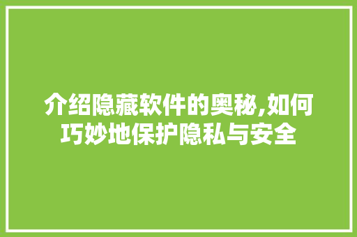介绍隐藏软件的奥秘,如何巧妙地保护隐私与安全
