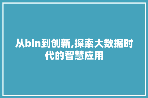 从bin到创新,探索大数据时代的智慧应用