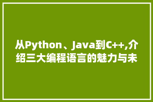 从Python、Java到C++,介绍三大编程语言的魅力与未来