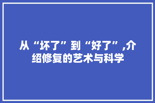 从“坏了”到“好了”,介绍修复的艺术与科学