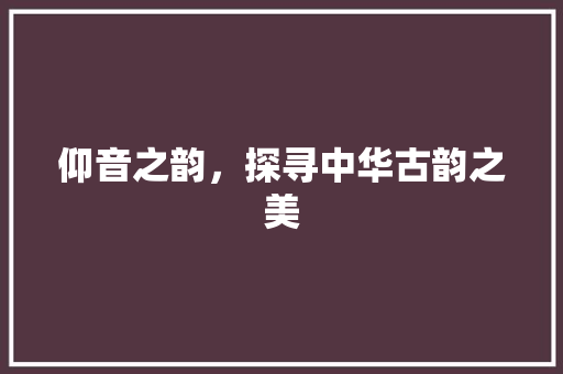 仰音之韵，探寻中华古韵之美