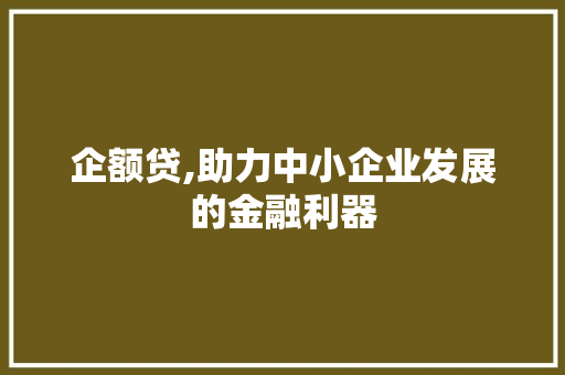 企额贷,助力中小企业发展的金融利器