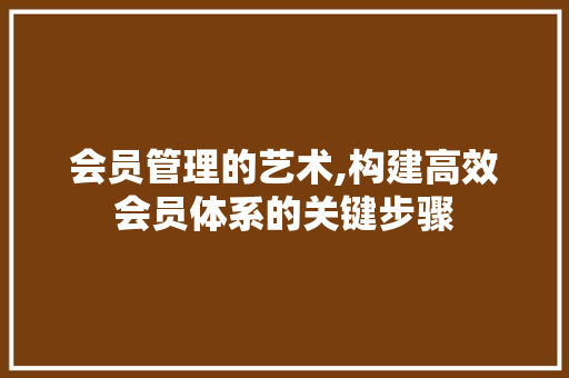 会员管理的艺术,构建高效会员体系的关键步骤