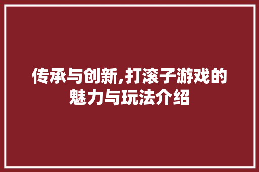 传承与创新,打滚子游戏的魅力与玩法介绍