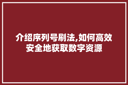 介绍序列号刷法,如何高效安全地获取数字资源