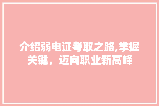 介绍弱电证考取之路,掌握关键，迈向职业新高峰
