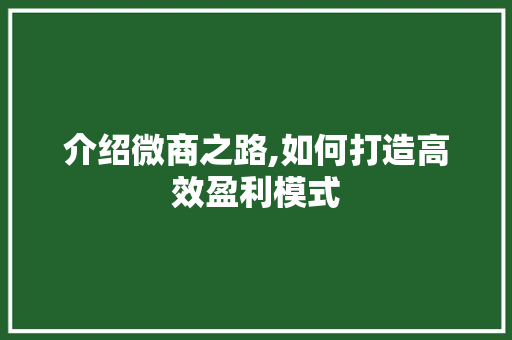 介绍微商之路,如何打造高效盈利模式