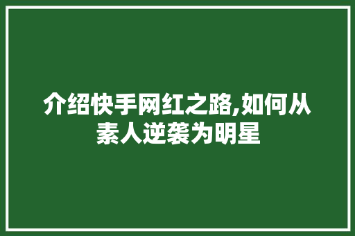 介绍快手网红之路,如何从素人逆袭为明星