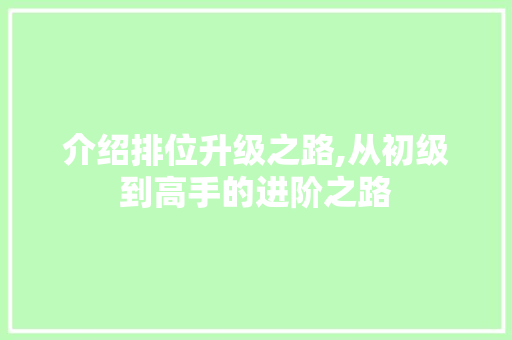 介绍排位升级之路,从初级到高手的进阶之路