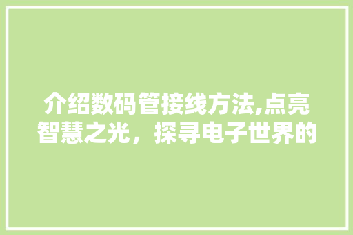 介绍数码管接线方法,点亮智慧之光，探寻电子世界的奥秘