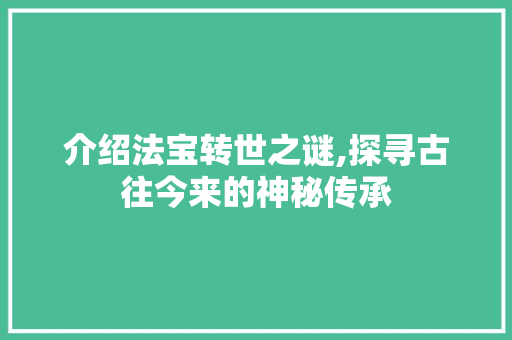 介绍法宝转世之谜,探寻古往今来的神秘传承