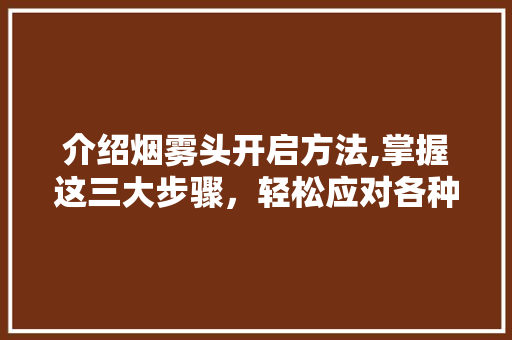 介绍烟雾头开启方法,掌握这三大步骤，轻松应对各种场景
