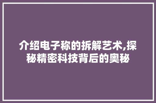 介绍电子称的拆解艺术,探秘精密科技背后的奥秘