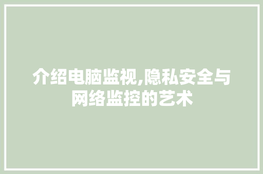 介绍电脑监视,隐私安全与网络监控的艺术