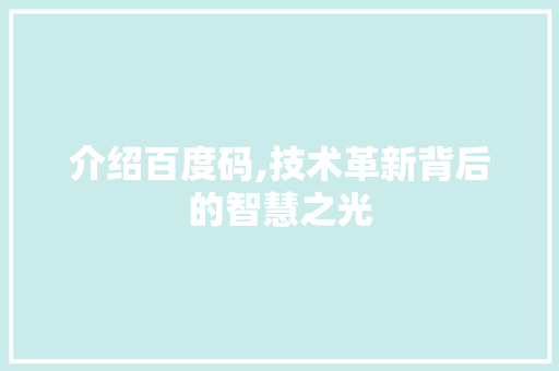 介绍百度码,技术革新背后的智慧之光