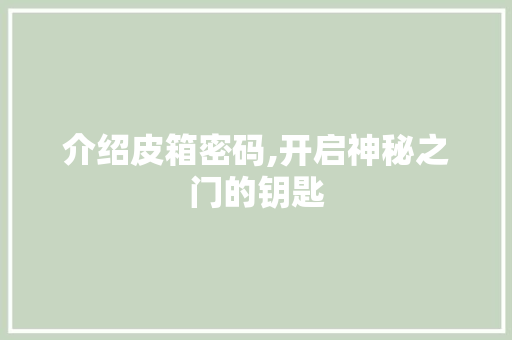 介绍皮箱密码,开启神秘之门的钥匙