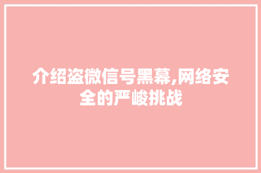 介绍盗微信号黑幕,网络安全的严峻挑战