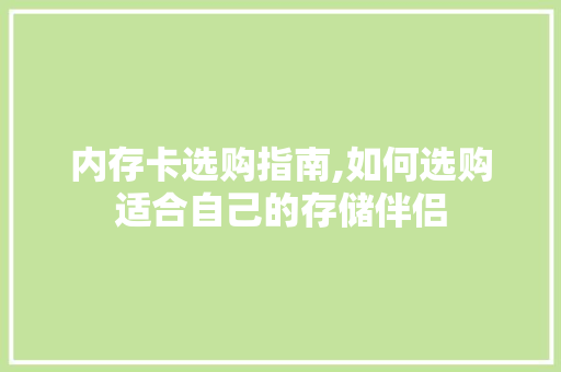 内存卡选购指南,如何选购适合自己的存储伴侣