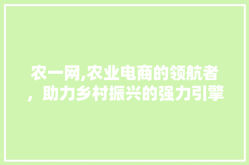 农一网,农业电商的领航者，助力乡村振兴的强力引擎