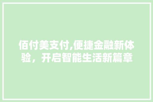 佰付美支付,便捷金融新体验，开启智能生活新篇章