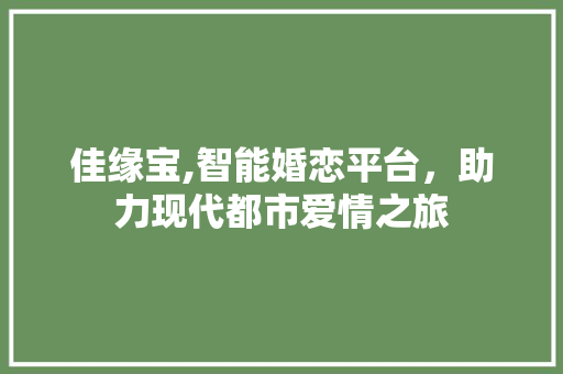 佳缘宝,智能婚恋平台，助力现代都市爱情之旅