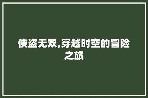 侠盗无双,穿越时空的冒险之旅