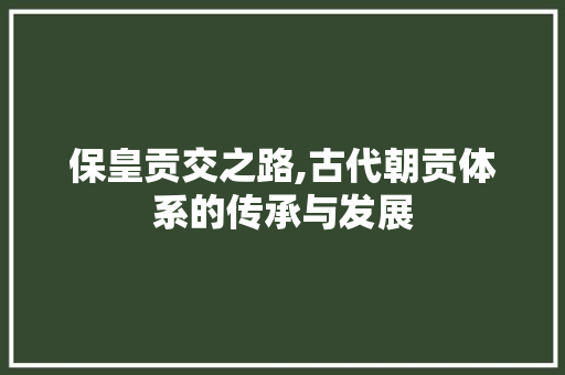 保皇贡交之路,古代朝贡体系的传承与发展