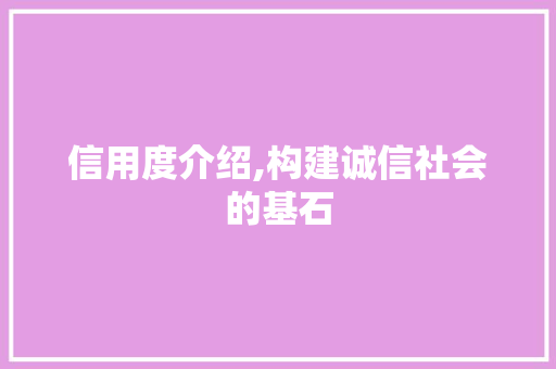 信用度介绍,构建诚信社会的基石