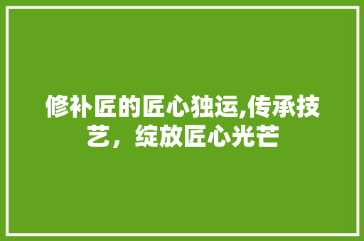 修补匠的匠心独运,传承技艺，绽放匠心光芒