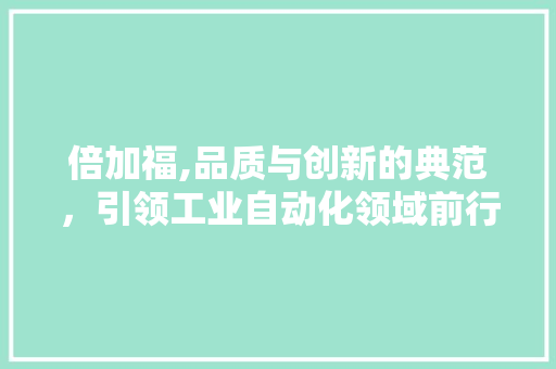 倍加福,品质与创新的典范，引领工业自动化领域前行