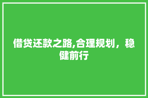 借贷还款之路,合理规划，稳健前行