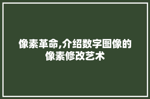 像素革命,介绍数字图像的像素修改艺术
