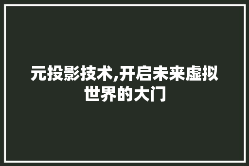 元投影技术,开启未来虚拟世界的大门