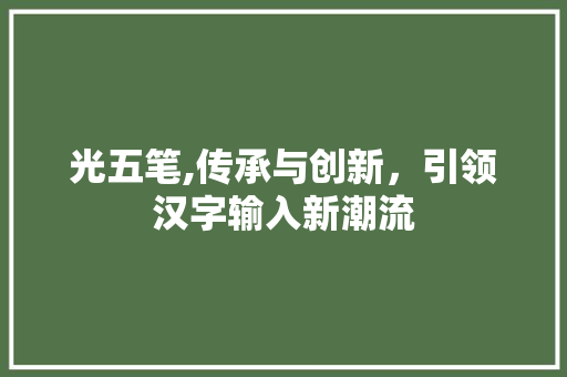 光五笔,传承与创新，引领汉字输入新潮流