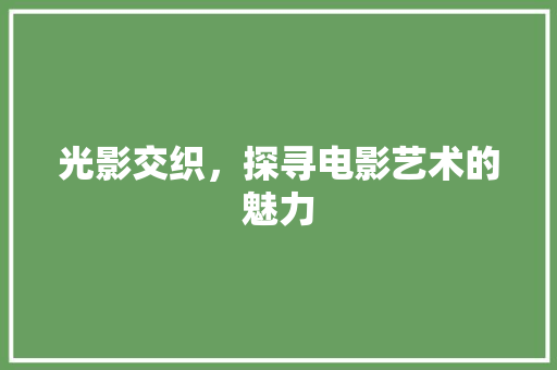 光影交织，探寻电影艺术的魅力